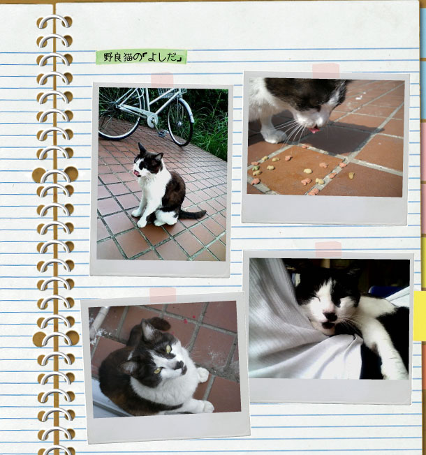 宮城高専ページ５